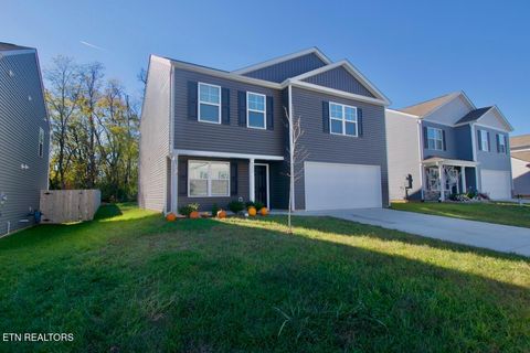 Photo of 9425 River Cane Rd, Mascot, TN 37806 (MLS # 1320908)