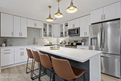 Tiny photo for 2597 River Rd, Kingston, TN 37763 (MLS # 1325767)