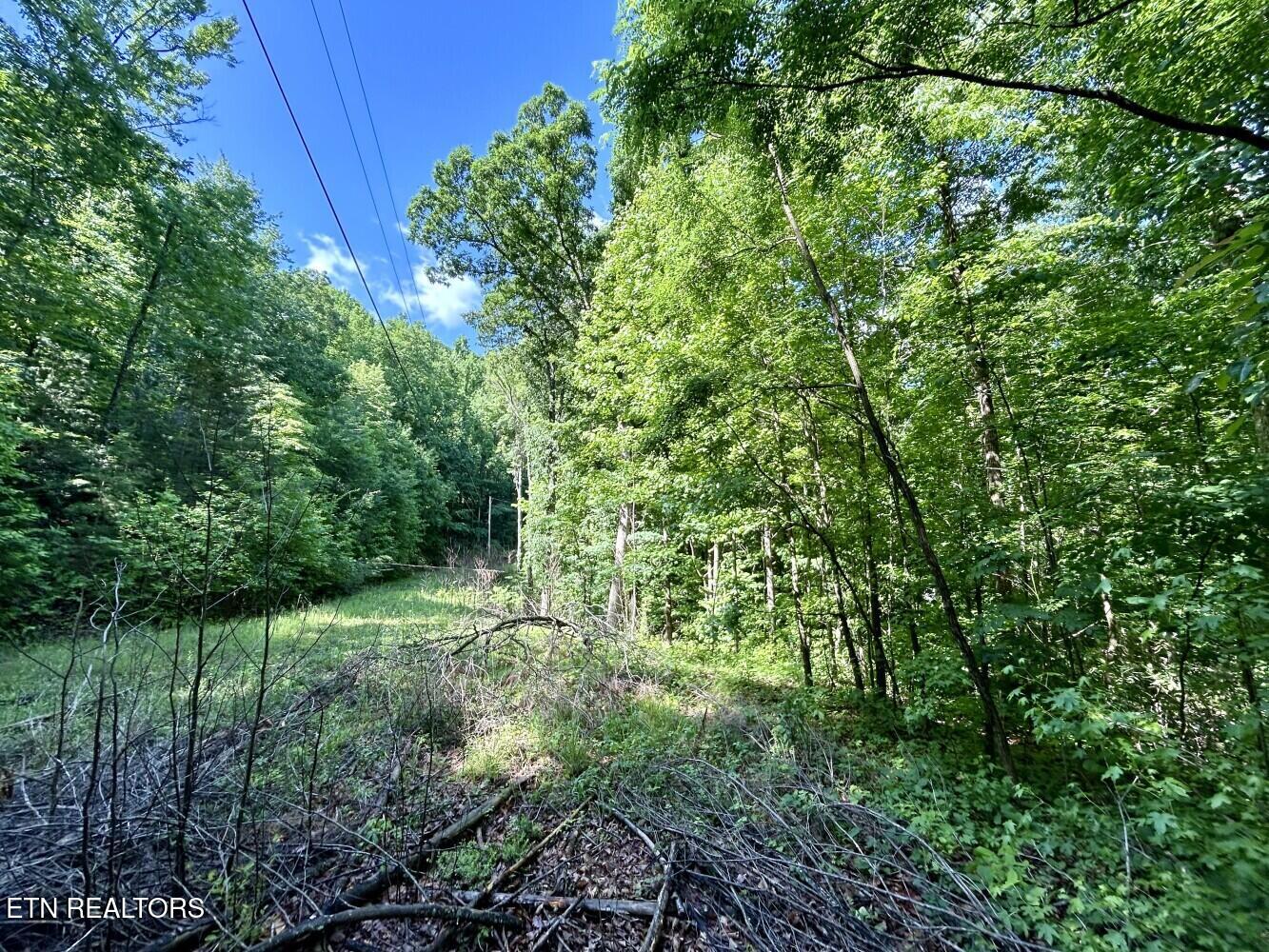 0 Grand County Drive