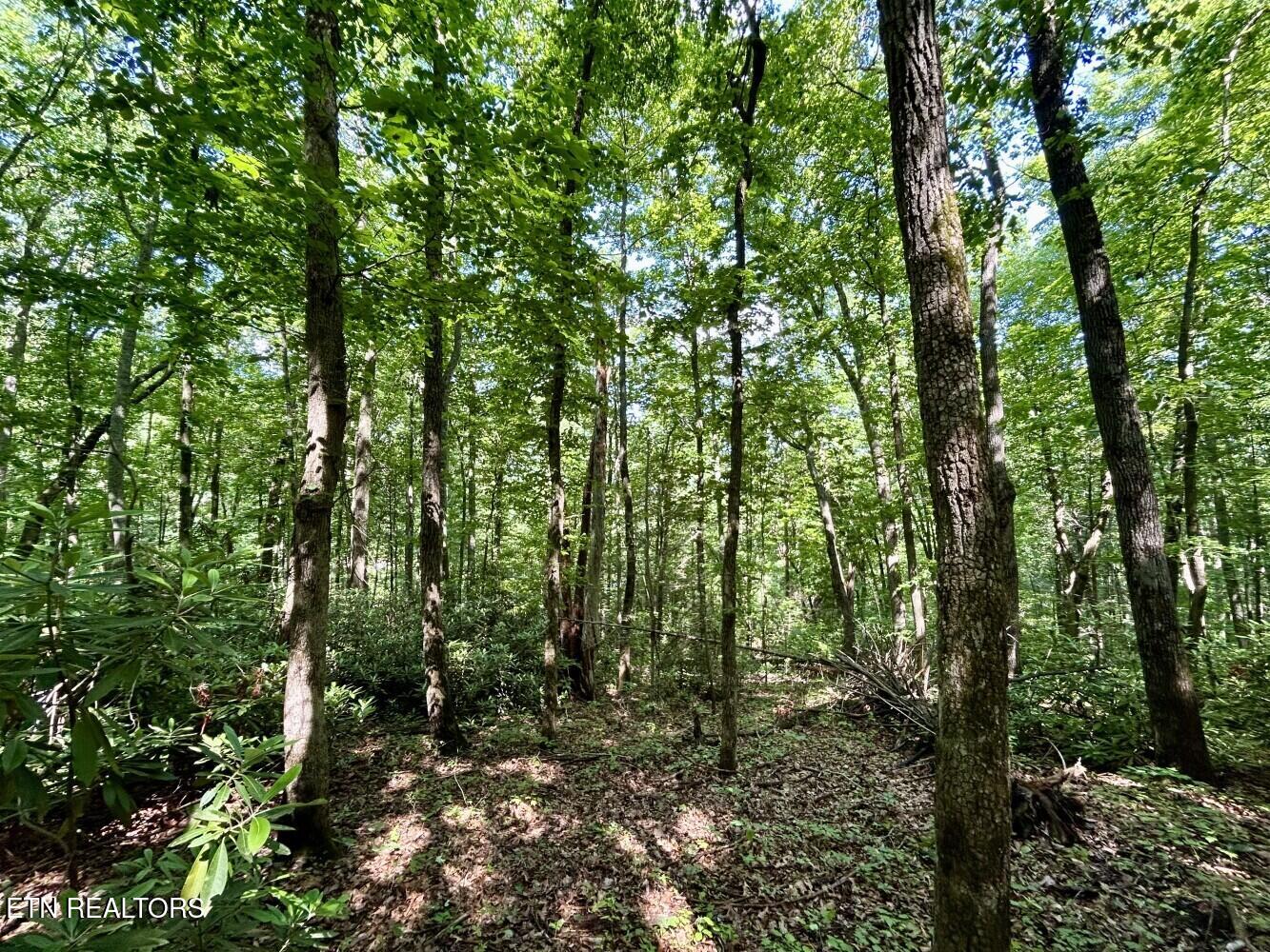 0 Grand County Drive