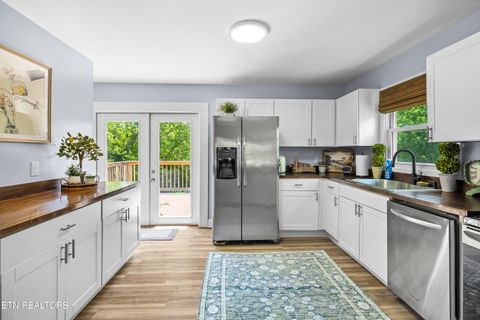 Tiny photo for 7720 Nubbin Ridge Rd, Knoxville, TN 37919 (MLS # 1338915)