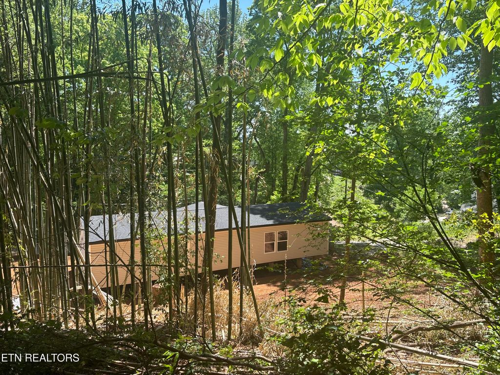 Photo of 1170 SW Navy Drive, Knoxville, TN 37920 (MLS # 1338946)