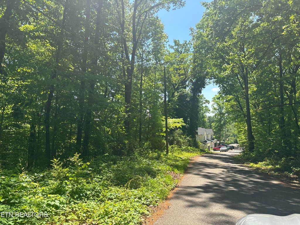 Photo of 1170 SW Navy Drive, Knoxville, TN 37920 (MLS # 1338946)