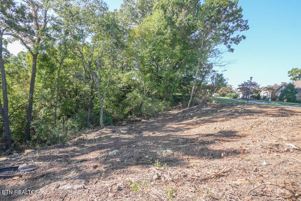 Photo of 4204 Legends Way, Maryville, TN 37801 (MLS # 1358130)