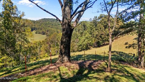 Tiny photo for 259 Little Tater Valley Rd, Luttrell, TN 37779 (MLS # 1335428)