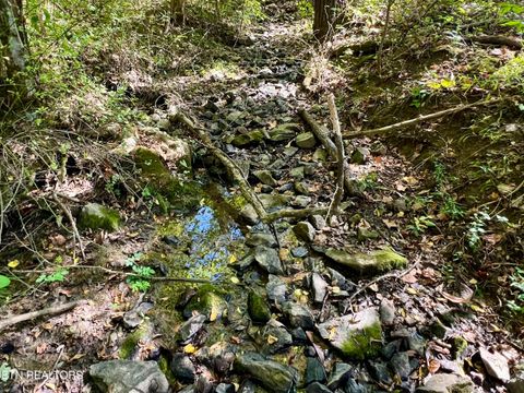 Tiny photo for 259 Little Tater Valley Rd, Luttrell, TN 37779 (MLS # 1335428)