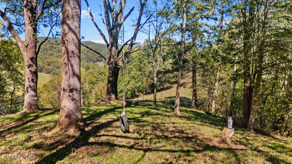 Photo of 259 Little Tater Valley Rd, Luttrell, TN 37779 (MLS # 1335428)