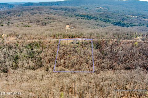Tiny photo for 984 Green Ridge Tr, Harriman, TN 37748 (MLS # 1328629)