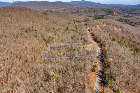 Tiny photo for 984 Green Ridge Tr, Harriman, TN 37748 (MLS # 1328629)