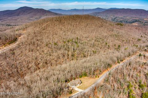 Tiny photo for 984 Green Ridge Tr, Harriman, TN 37748 (MLS # 1328629)