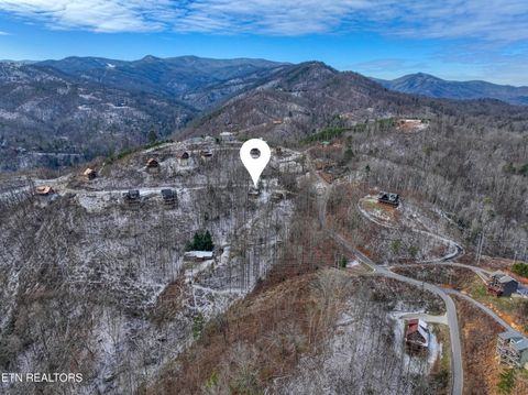 Tiny photo for 123 Laurel Way, Gatlinburg, TN 37738 (MLS # 1328176)