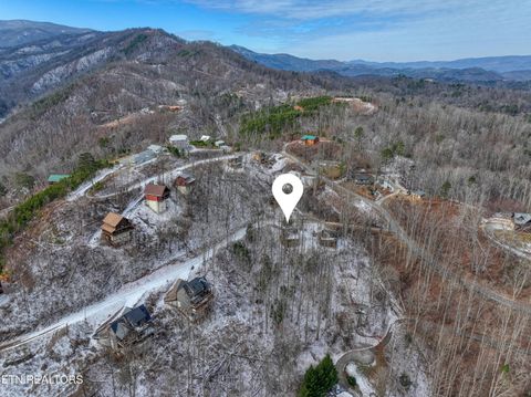 Tiny photo for 123 Laurel Way, Gatlinburg, TN 37738 (MLS # 1328176)