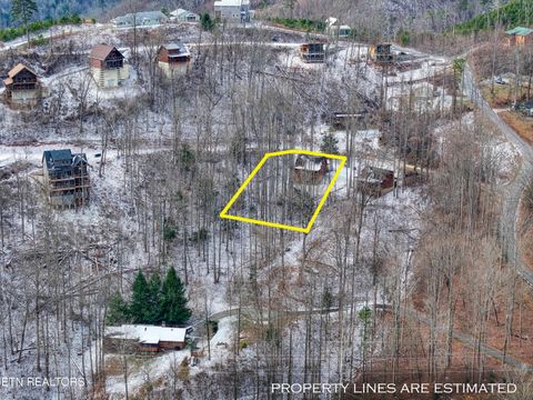Tiny photo for 123 Laurel Way, Gatlinburg, TN 37738 (MLS # 1328176)