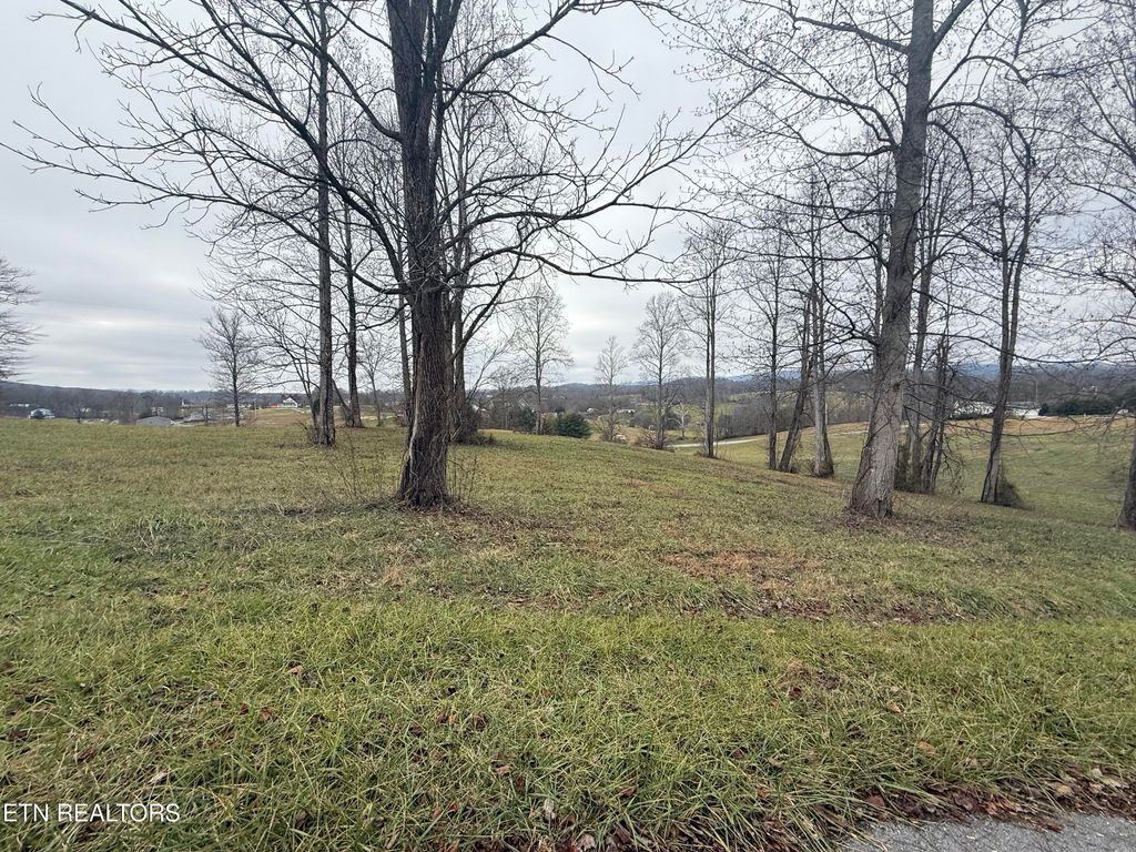 Photo of 23 Oak Point Drive, Jonesville, VA 24263 (MLS # 1323499)