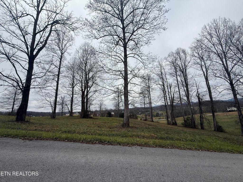 Photo of 23 Oak Point Drive, Jonesville, VA 24263 (MLS # 1323499)