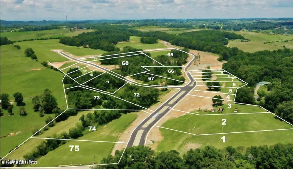 Photo of 67 Herbert Drive, Greenback, TN 37742 (MLS # 1264112)