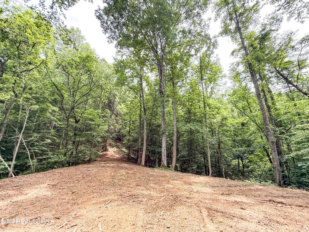 Photo of Forest Creek Pkwy, Oak Ridge, TN 37830 (MLS # 1304627)