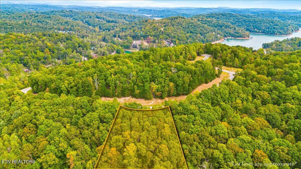 Photo of 125 Old Hearth Drive, LaFollette, TN 37766 (MLS # 1316762)