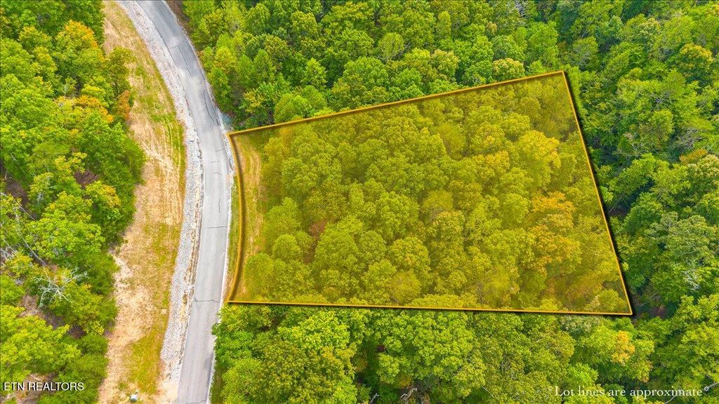 Photo of 125 Old Hearth Drive, LaFollette, TN 37766 (MLS # 1316762)