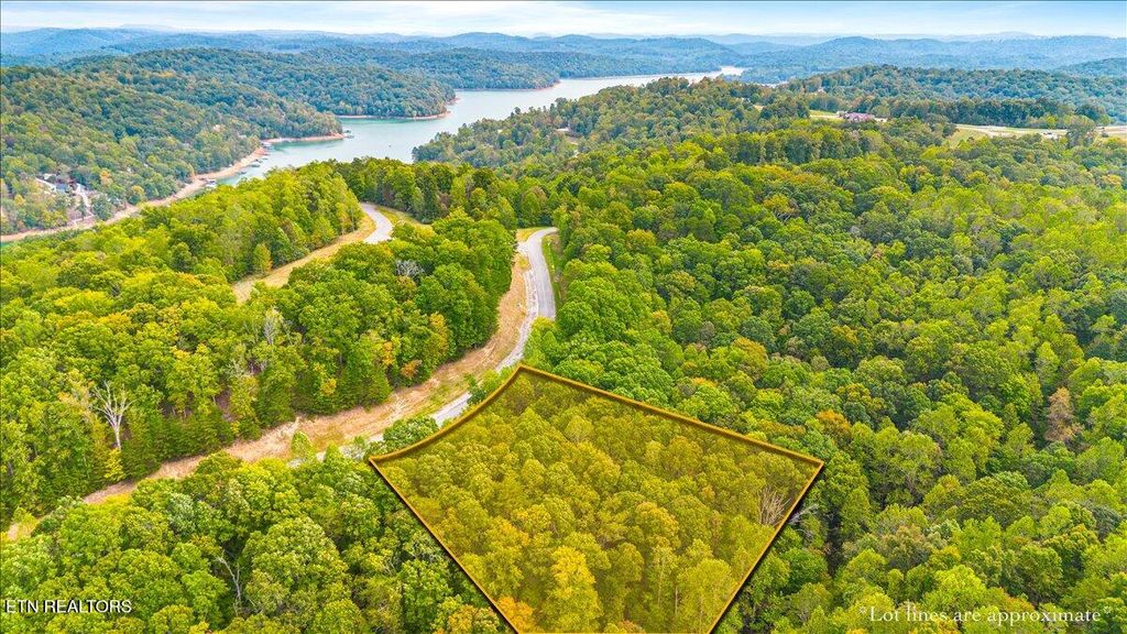 Photo of 125 Old Hearth Drive, LaFollette, TN 37766 (MLS # 1316762)