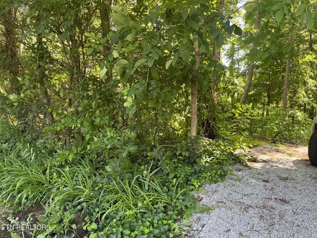 Photo of 212 Woodland Drive, Wartburg, TN 37887 (MLS # 1265646)