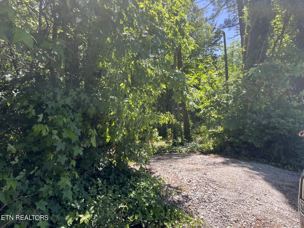 Photo of 212 Woodland Drive, Wartburg, TN 37887 (MLS # 1265646)