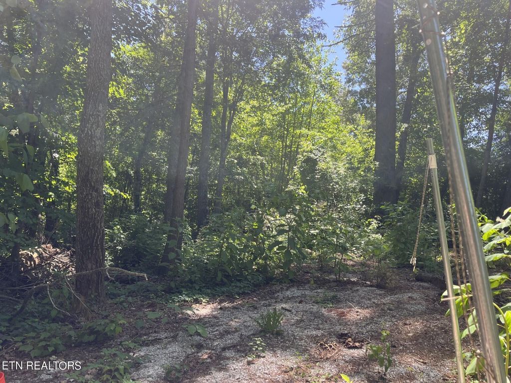 Photo of 212 Woodland Drive, Wartburg, TN 37887 (MLS # 1265646)