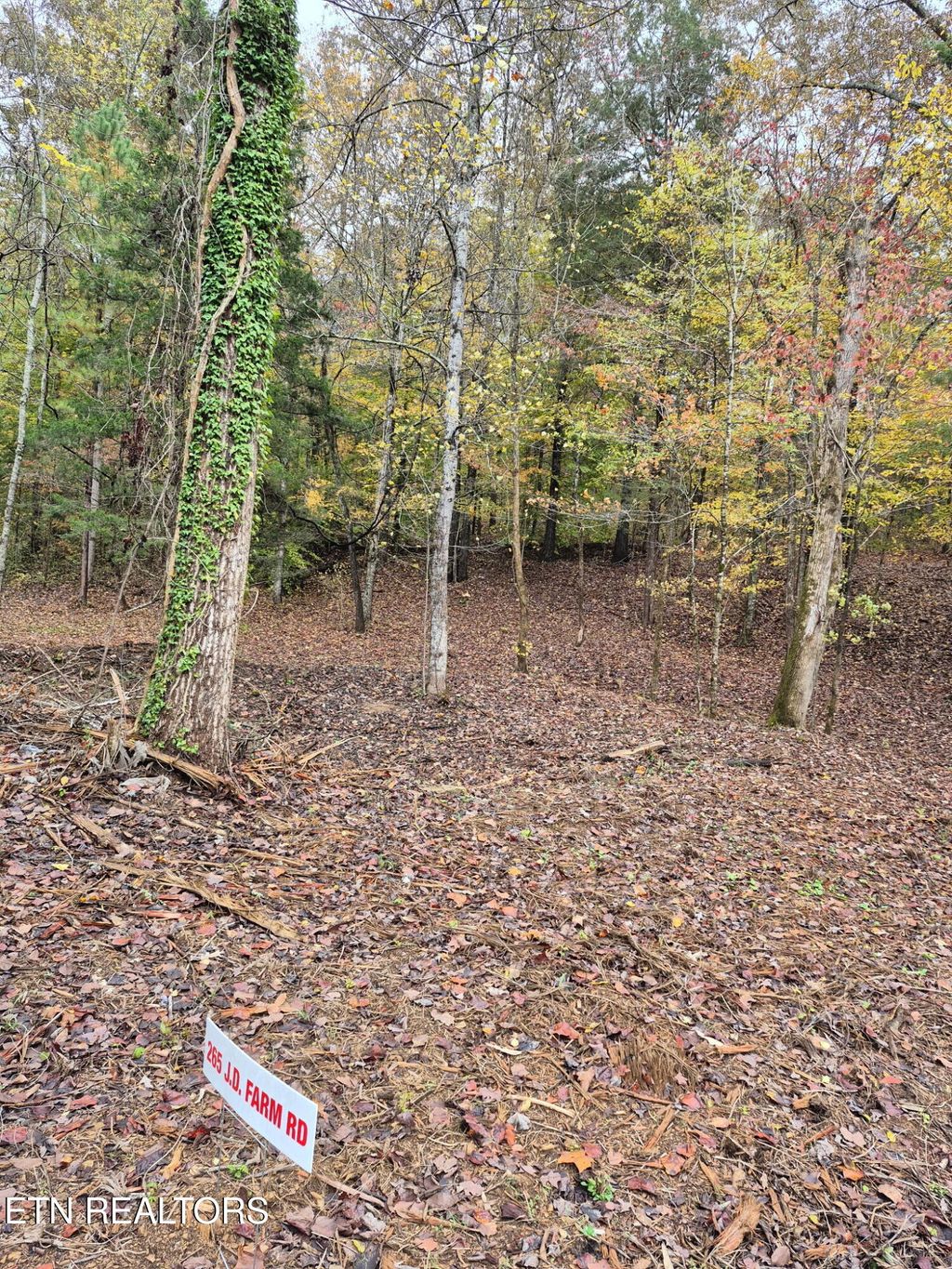 Photo of JD Farm Rd, Tellico Plains, TN 37385 (MLS # 1320849)
