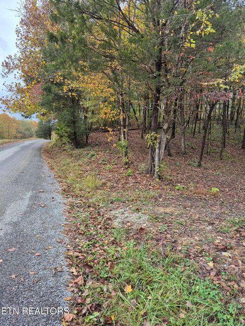 Photo of JD Farm Rd, Tellico Plains, TN 37385 (MLS # 1320849)