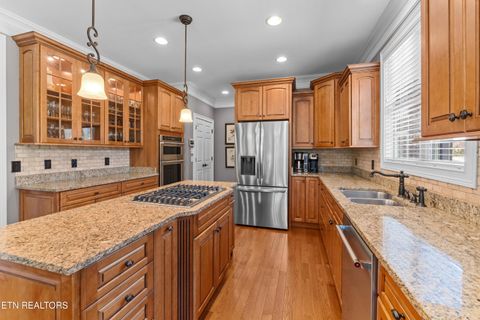 Tiny photo for 228 Spring Water Lane, Knoxville, TN 37934 (MLS # 1336360)