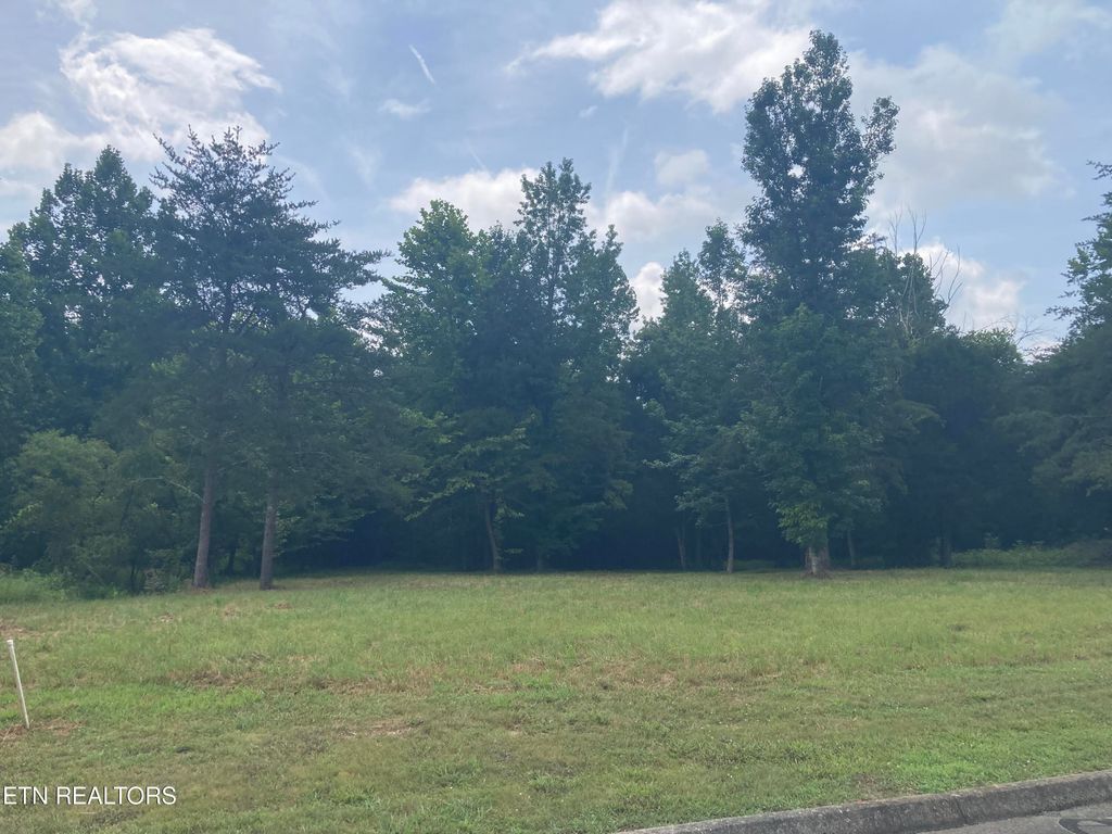 Photo of 73 Creekview Drive, Harriman, TN 37748 (MLS # 1309157)