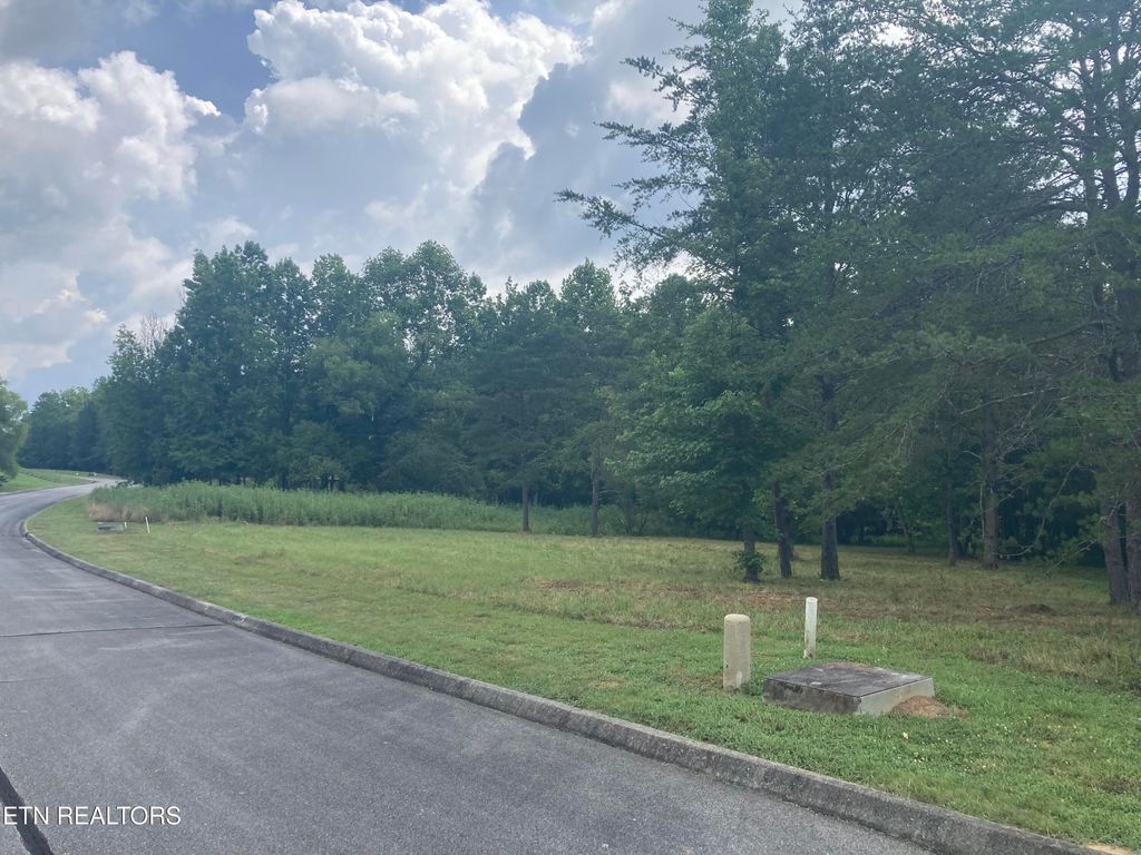 Photo of 73 Creekview Drive, Harriman, TN 37748 (MLS # 1309157)
