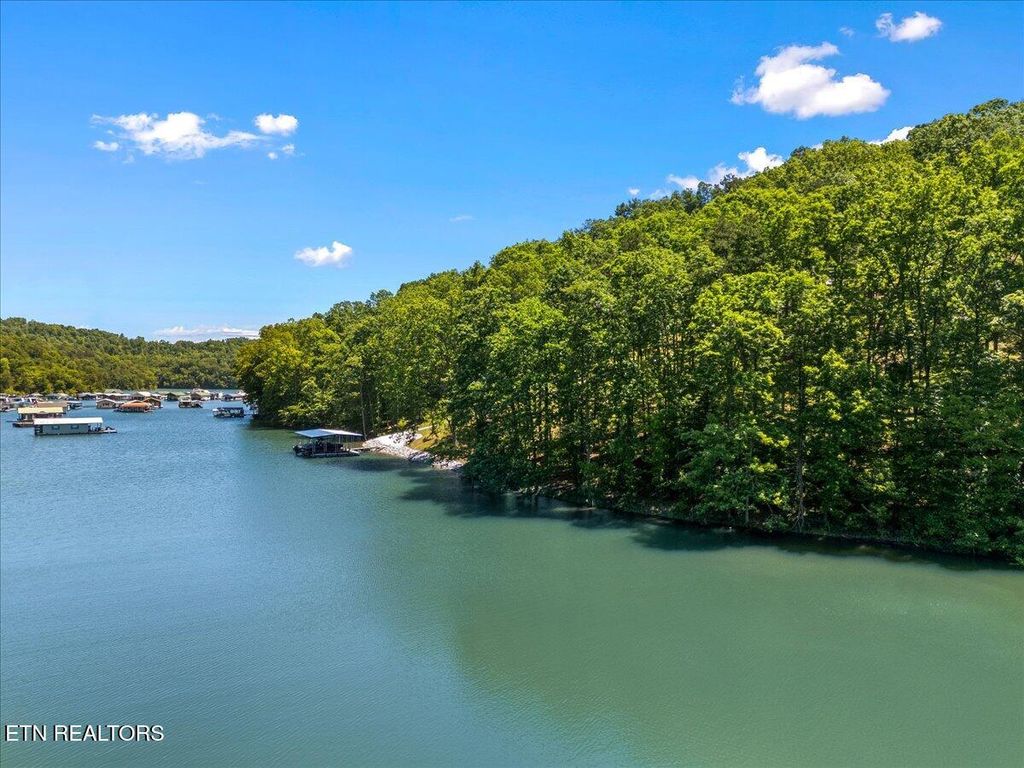 Photo of 6 Shanghai Landing Lane, LaFollette, TN 37766 (MLS # 1302077)