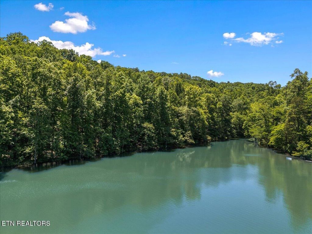 Photo of 6 Shanghai Landing Lane, LaFollette, TN 37766 (MLS # 1302077)