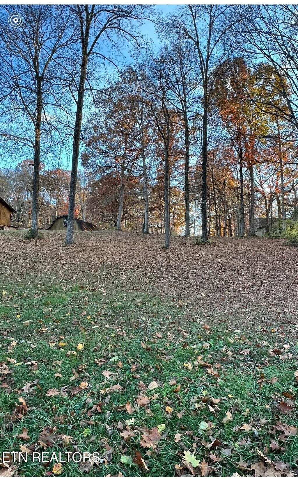 Photo of 9412 Jim Loy Road Drive, Strawberry Plains, TN 37871 (MLS # 1283631)