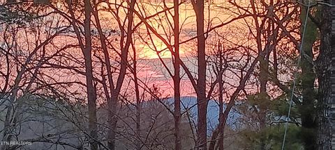 Tiny photo for 132 Sugar Maple Way, Del Rio, TN 37727 (MLS # 1332883)