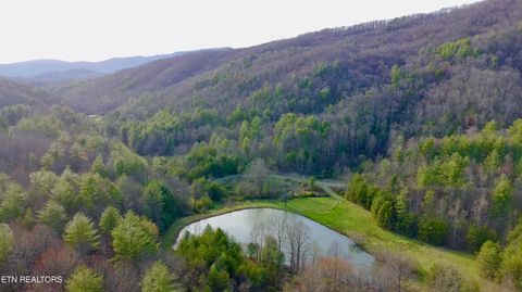 Tiny photo for 132 Sugar Maple Way, Del Rio, TN 37727 (MLS # 1332883)