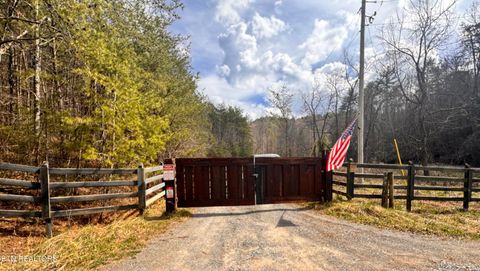 Tiny photo for 132 Sugar Maple Way, Del Rio, TN 37727 (MLS # 1332883)