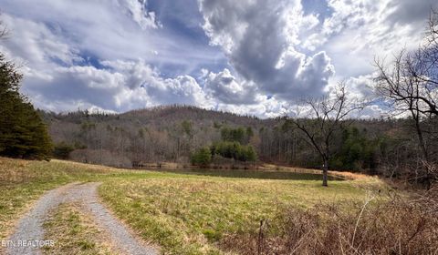 Tiny photo for 132 Sugar Maple Way, Del Rio, TN 37727 (MLS # 1332883)