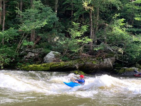 Tiny photo for 132 Sugar Maple Way, Del Rio, TN 37727 (MLS # 1332883)