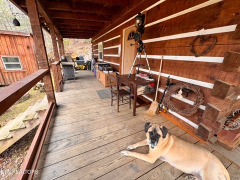 Tiny photo for 132 Sugar Maple Way, Del Rio, TN 37727 (MLS # 1332883)