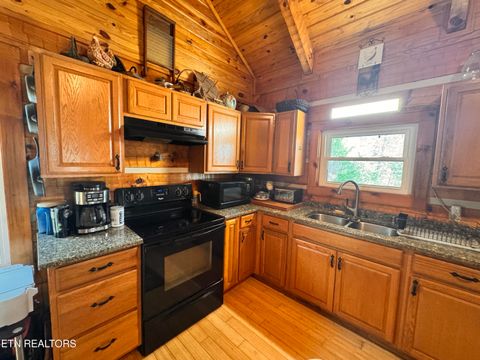 Tiny photo for 132 Sugar Maple Way, Del Rio, TN 37727 (MLS # 1332883)