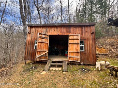 Tiny photo for 132 Sugar Maple Way, Del Rio, TN 37727 (MLS # 1332883)