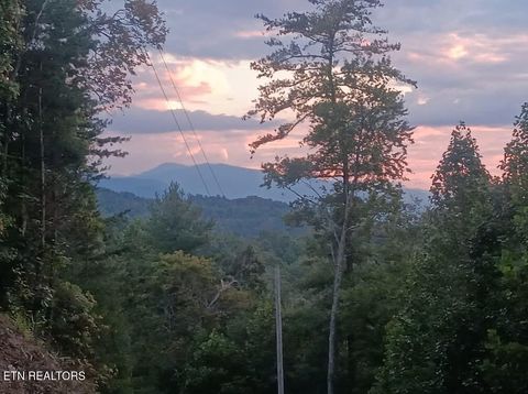 Tiny photo for 132 Sugar Maple Way, Del Rio, TN 37727 (MLS # 1332883)