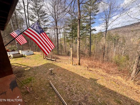 Tiny photo for 132 Sugar Maple Way, Del Rio, TN 37727 (MLS # 1332883)