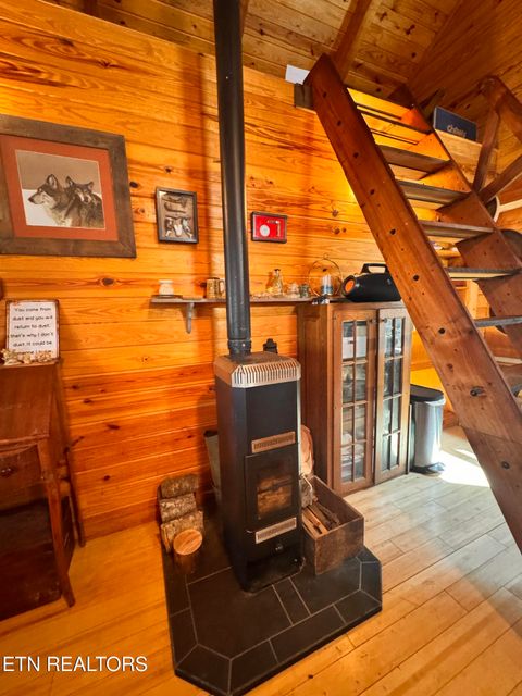 Tiny photo for 132 Sugar Maple Way, Del Rio, TN 37727 (MLS # 1332883)