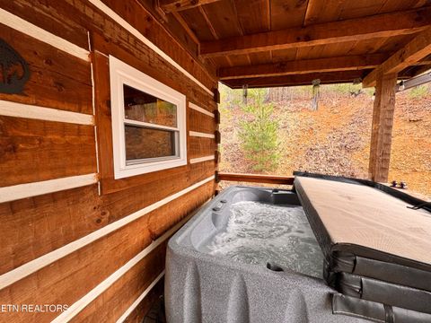 Tiny photo for 132 Sugar Maple Way, Del Rio, TN 37727 (MLS # 1332883)