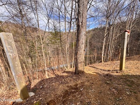 Tiny photo for 132 Sugar Maple Way, Del Rio, TN 37727 (MLS # 1332883)