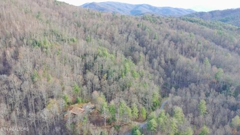 Tiny photo for 132 Sugar Maple Way, Del Rio, TN 37727 (MLS # 1332883)