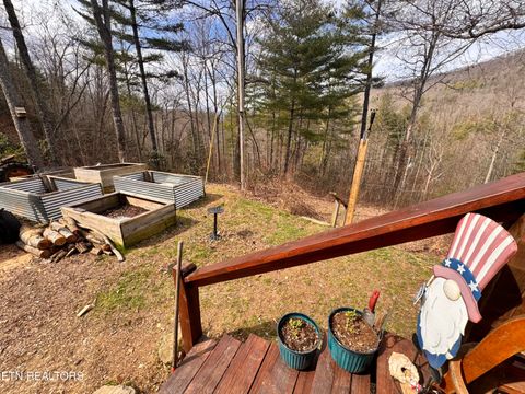 Tiny photo for 132 Sugar Maple Way, Del Rio, TN 37727 (MLS # 1332883)